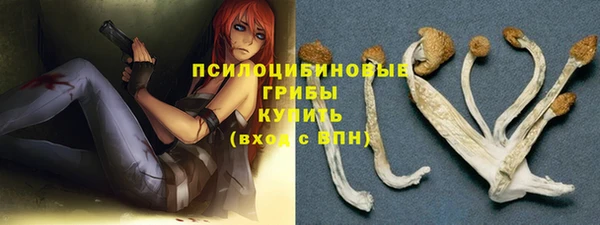 тгк Кукмор