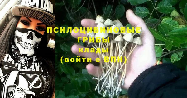 тгк Кукмор