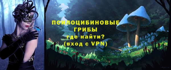 тгк Кукмор